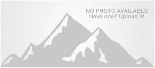 No Photo Available