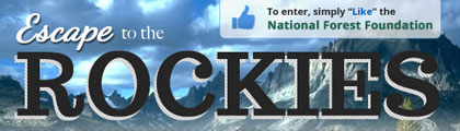 National Forest Foundation